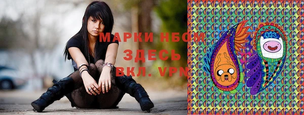 гидра Алексин
