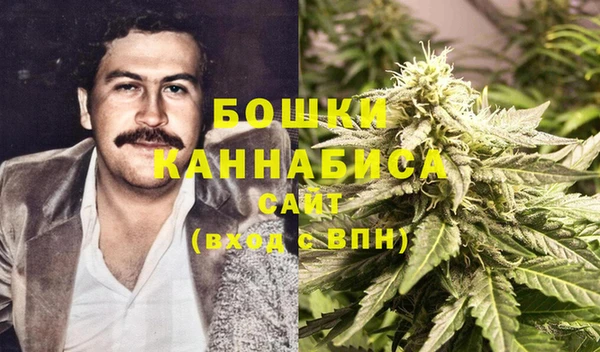 гидра Алексин