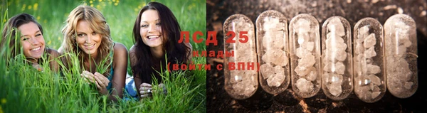 Альфа ПВП Алексеевка